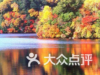 炮轰男爵