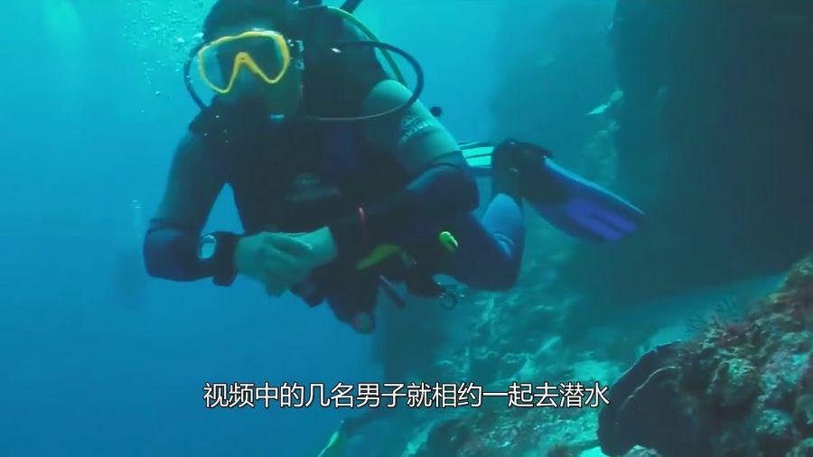 我想知道怎样减肥游戏画面