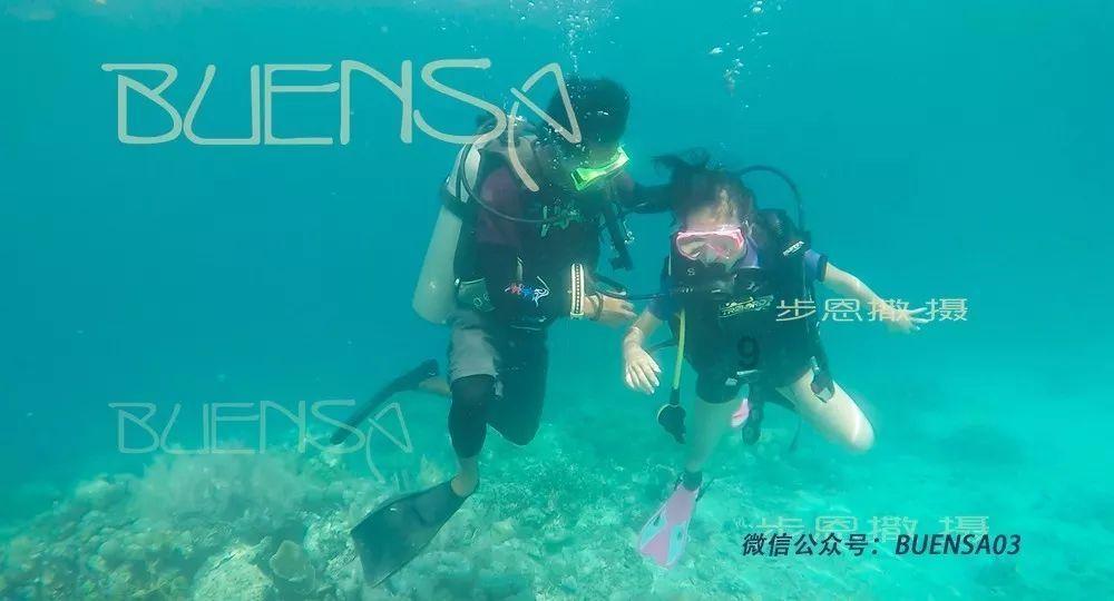 球球大作战下载最新版