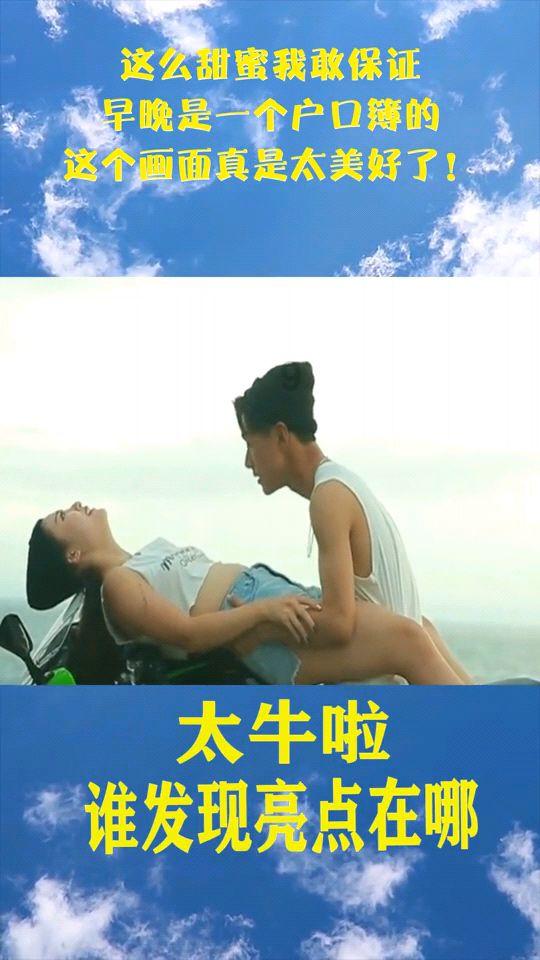 银河中动物逃生