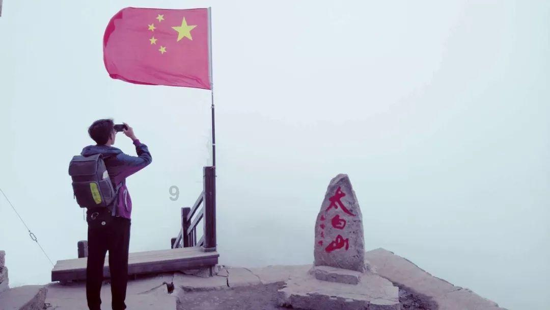 海报图品|新手养鼠，这几件事千万不要做