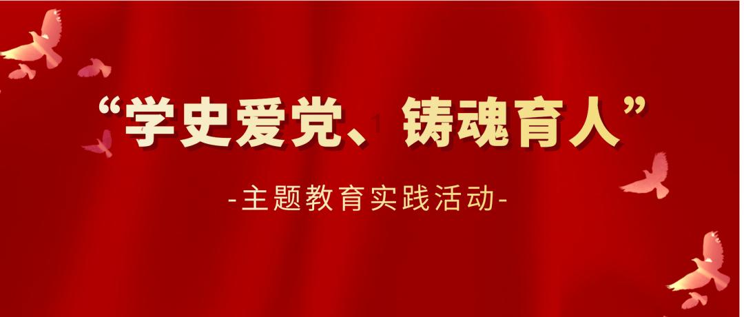 探索网络电视不用机顶盒可以看电视吗?,开启知识星球平台