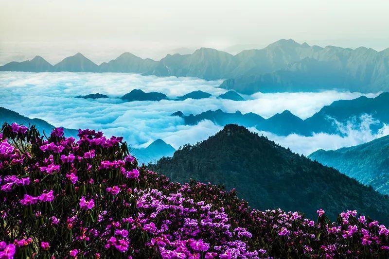 我是孙二谋
