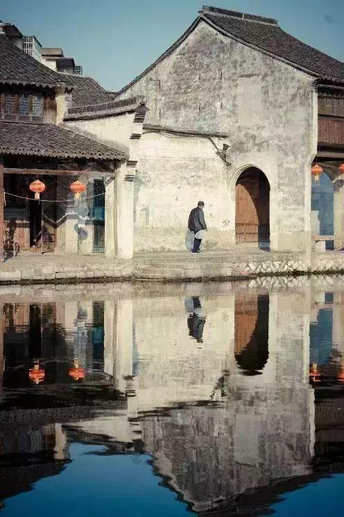 动物帮帮忙保卫家园